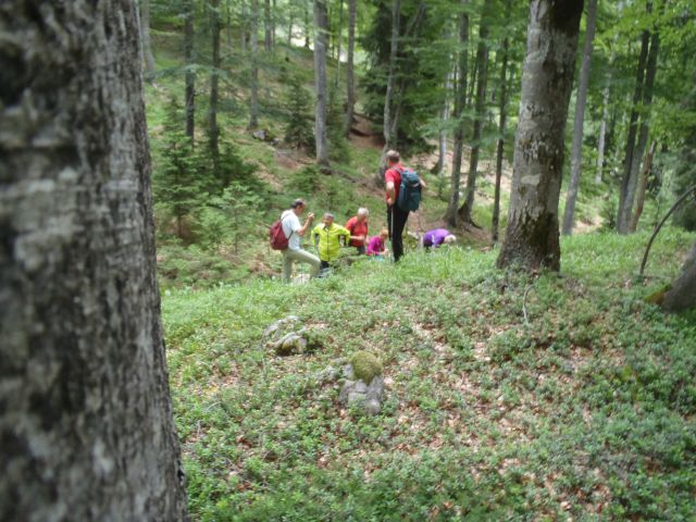 20160717 Sleme, Vrtaški vrh in planina - foto