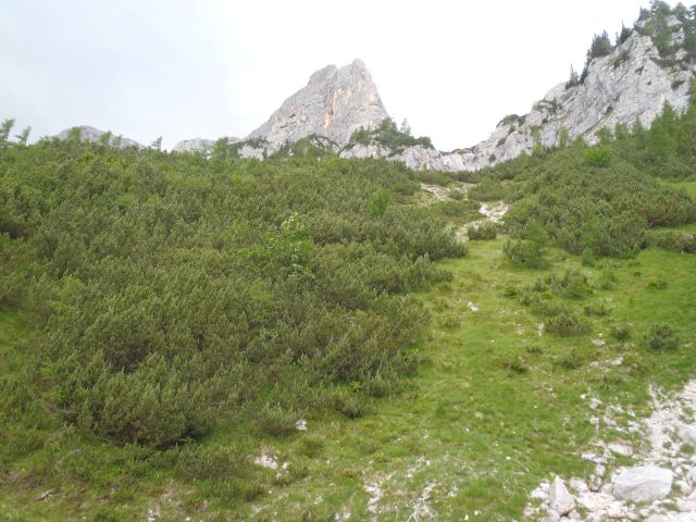 20160717 Sleme, Vrtaški vrh in planina - foto