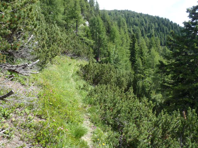 20160717 Sleme, Vrtaški vrh in planina - foto