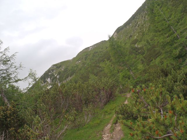 20160717 Sleme, Vrtaški vrh in planina - foto