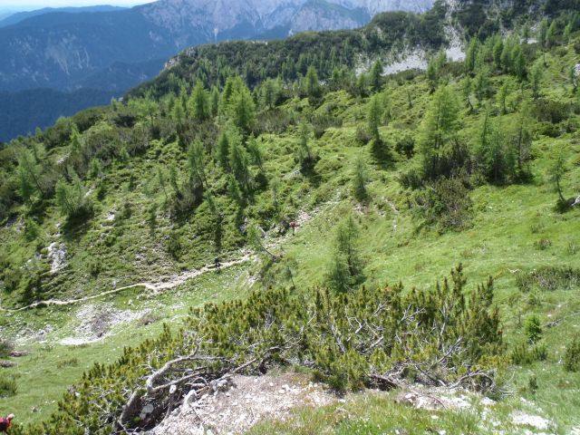 20160717 Sleme, Vrtaški vrh in planina - foto