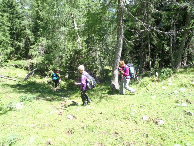 20160717 Sleme, Vrtaški vrh in planina - foto