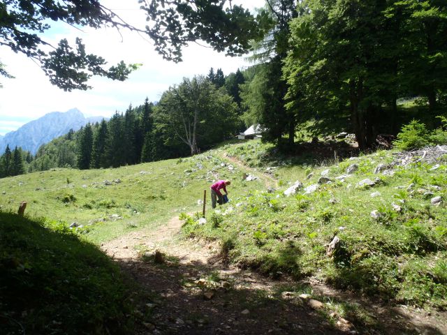 20160717 Sleme, Vrtaški vrh in planina - foto