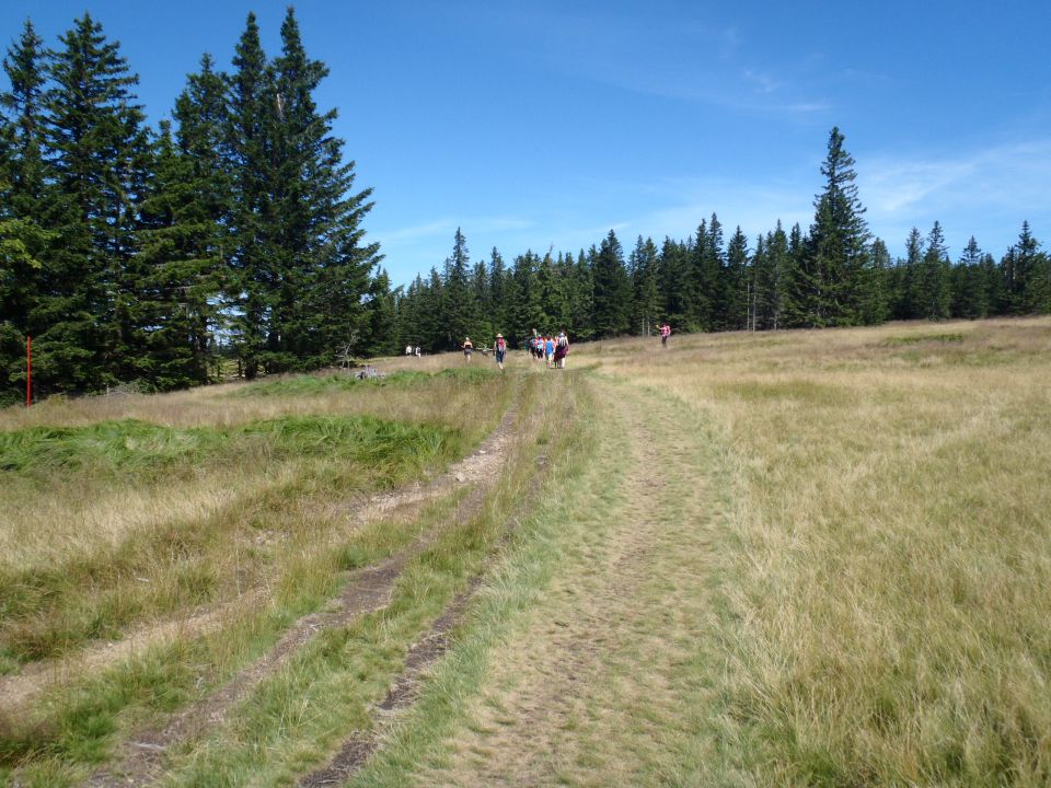 20160730 Rogla-Lovrenška j.-Pesek-Rogla - foto povečava