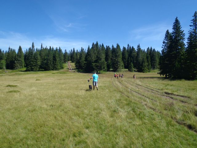 20160730 Rogla-Lovrenška j.-Pesek-Rogla - foto