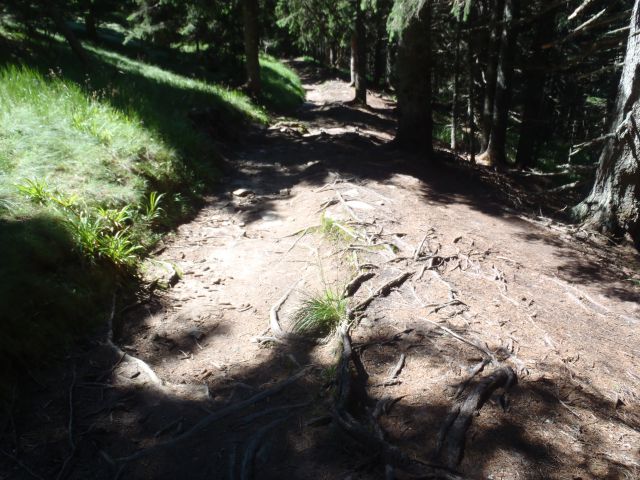 20160730 Rogla-Lovrenška j.-Pesek-Rogla - foto