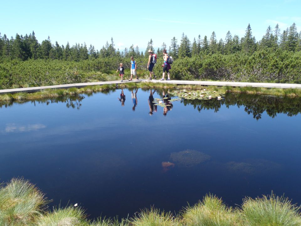 20160730 Rogla-Lovrenška j.-Pesek-Rogla - foto povečava