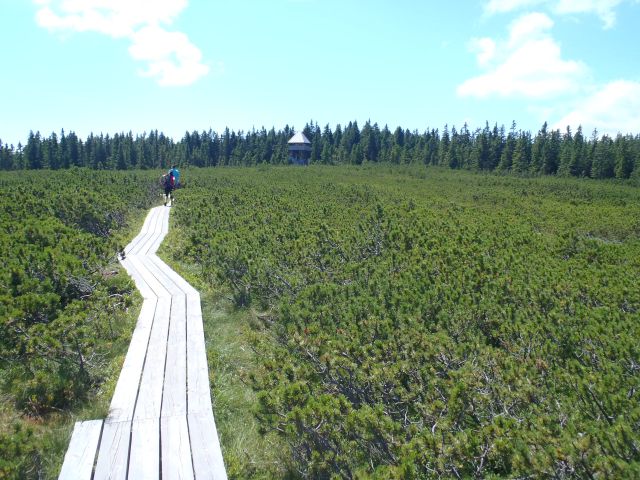 20160730 Rogla-Lovrenška j.-Pesek-Rogla - foto