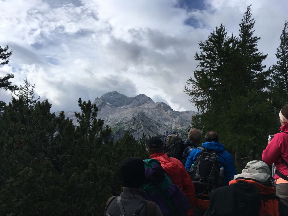 20160716 Triglav - Lipa - foto povečava