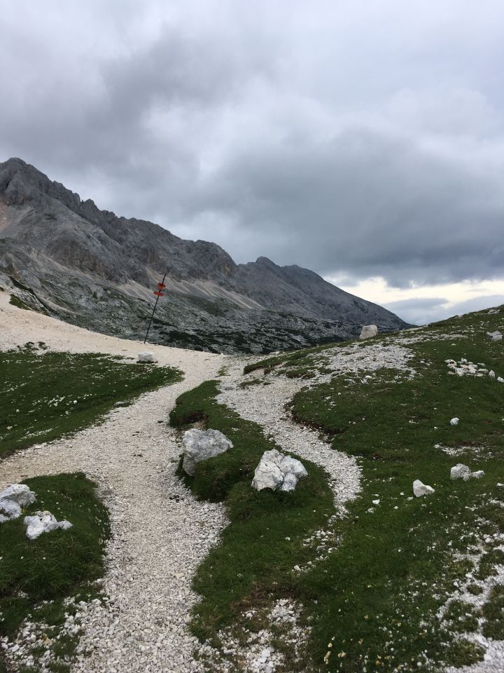 20160716 Triglav - Lipa - foto povečava