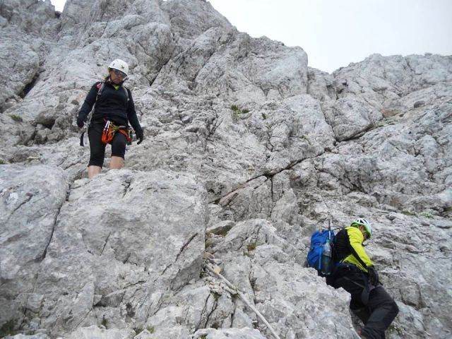 Spust z Mlinarskega sedla proti Češki koči po Frischaufovi poti