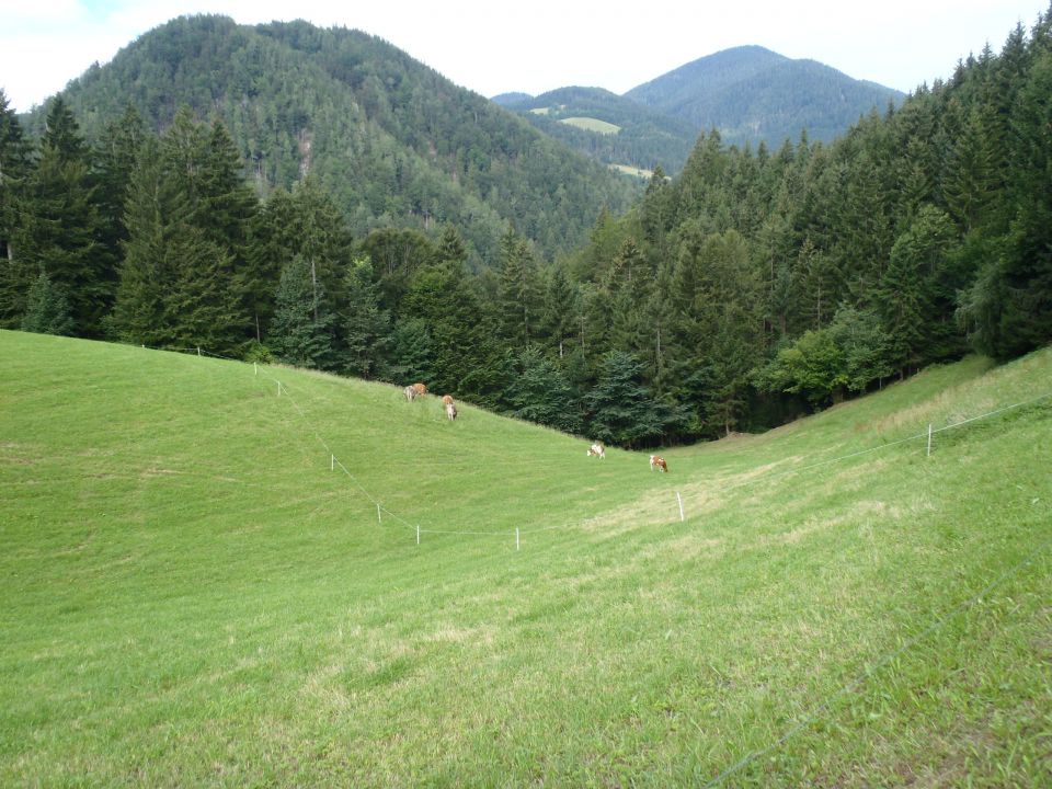 20160813 Sleme-Bele vode-Smrekovec-vrh - foto povečava