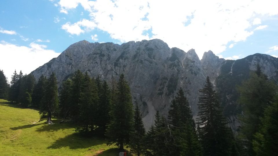 Razgled z Planine Korošice na Veliki vrh (Košuta)