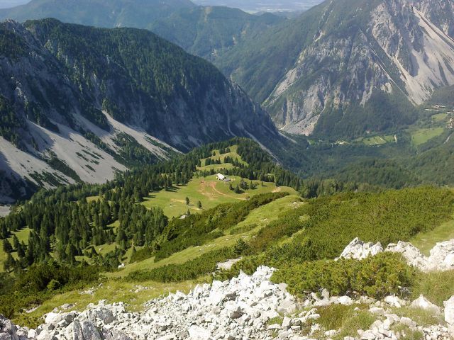 Razgled z vrha Košutice na Planino Korošico