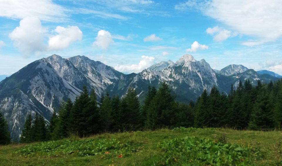 Razgled z poti na Begunjščico, Stol, Vrtačo, Palec, Zelenjak in Ovčji vrh