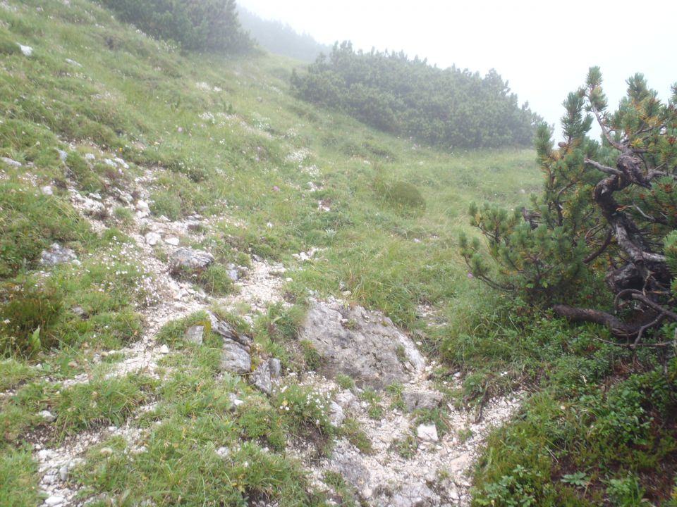 20160821 Rudno-Ablanca-Velo-Stanič-Kredarica - foto povečava