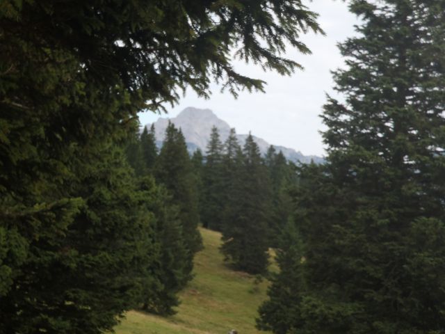 20160819 Velika planina - foto