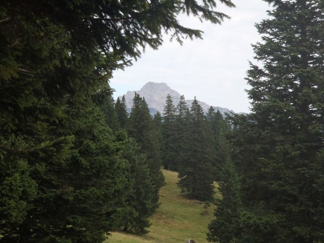 20160819 Velika planina - foto