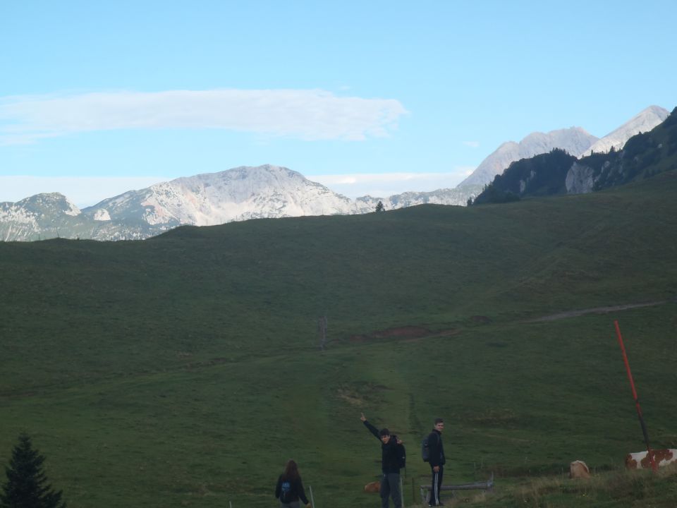 20160819 Velika planina - foto povečava