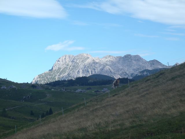 20160819 Velika planina - foto