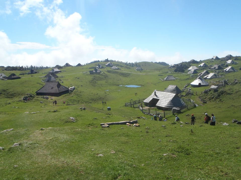 20160819 Velika planina - foto povečava