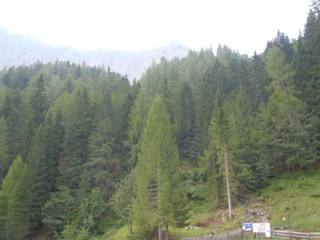 Okolica.