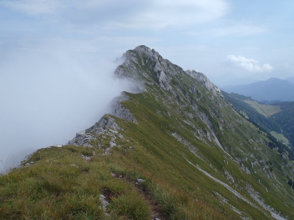 20160911 CJAJNIK - to pa je nekaj - foto povečava