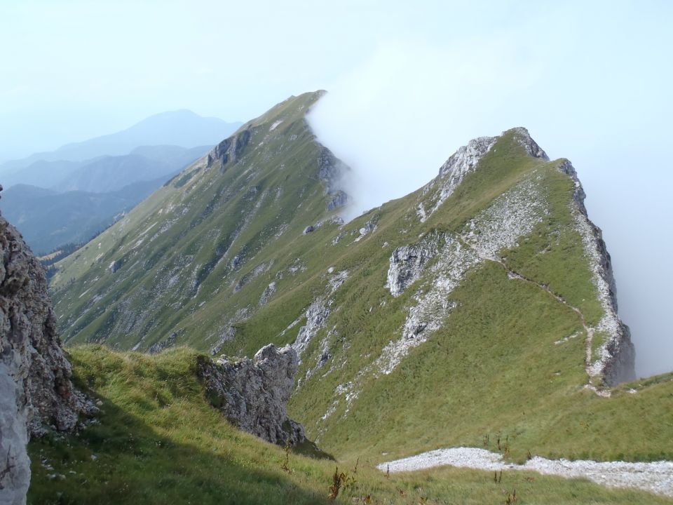 20160911 CJAJNIK - to pa je nekaj - foto povečava