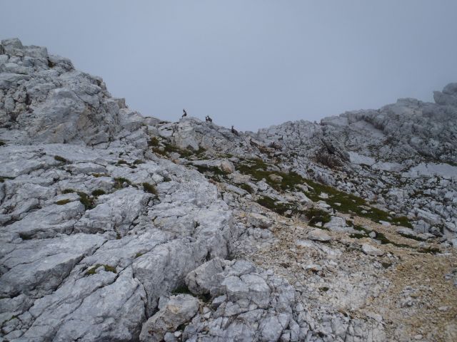 20160914Bavški Grintavec, Bavščica-BG-Soča - foto