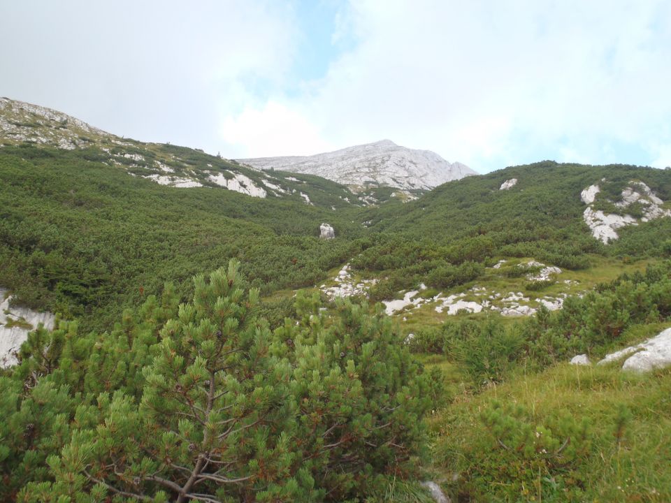 20160914Bavški Grintavec, Bavščica-BG-Soča - foto povečava