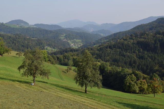  20160910 Mojstrana - Gustlov poh.(foto Klar) - foto