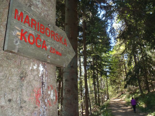 20160925 Habakuk-Mariborska-Ruška in nazaj - foto