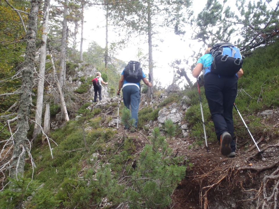 20161001 Grančišče, Jasna-Ciprnik-Planica - foto povečava