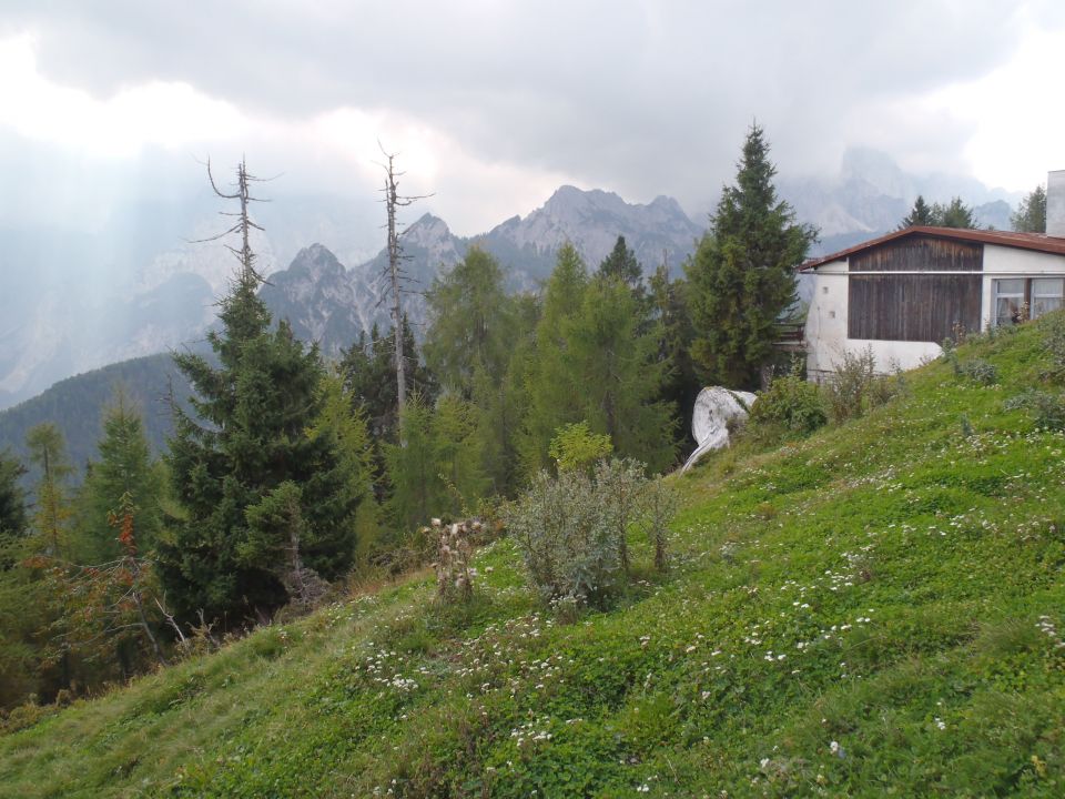 Vrhovi, podaljšek Rjavine-Luknja peč, Dimniki, Macesnovec.........