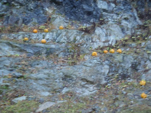 20161030 šumik-Klopni-Činžat - foto