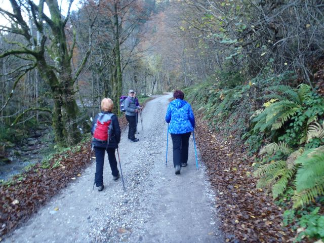 20161030 šumik-Klopni-Činžat - foto