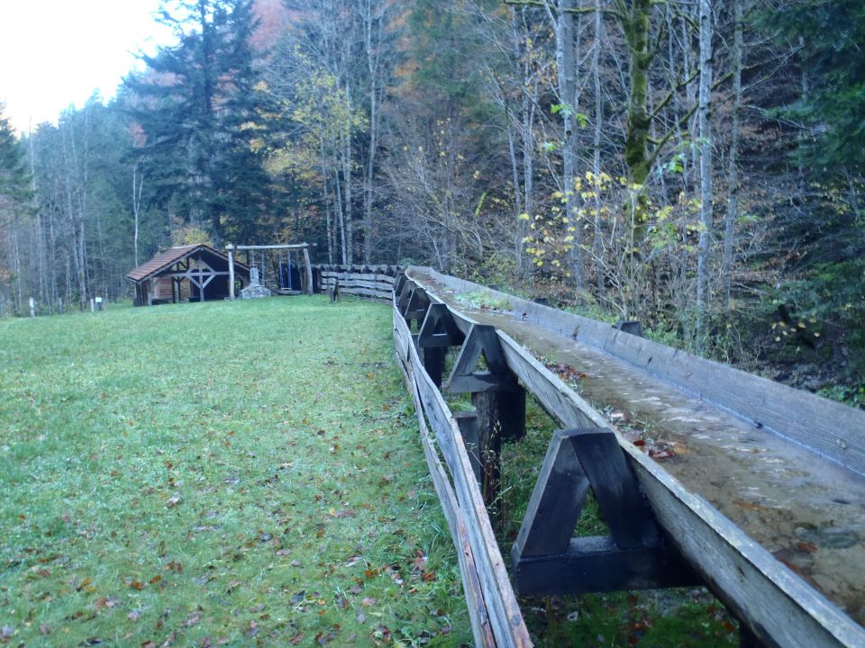 20161030 šumik-Klopni-Činžat - foto povečava