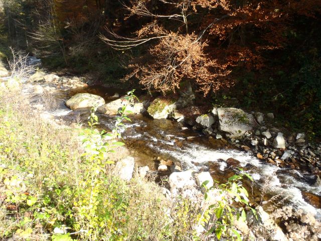 20161030 šumik-Klopni-Činžat - foto