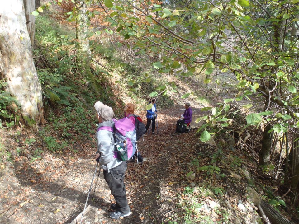 20161030 šumik-Klopni-Činžat - foto povečava