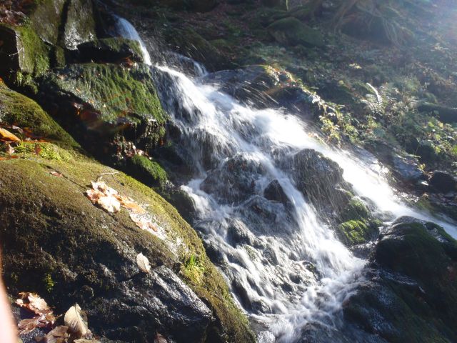 20161030 šumik-Klopni-Činžat - foto