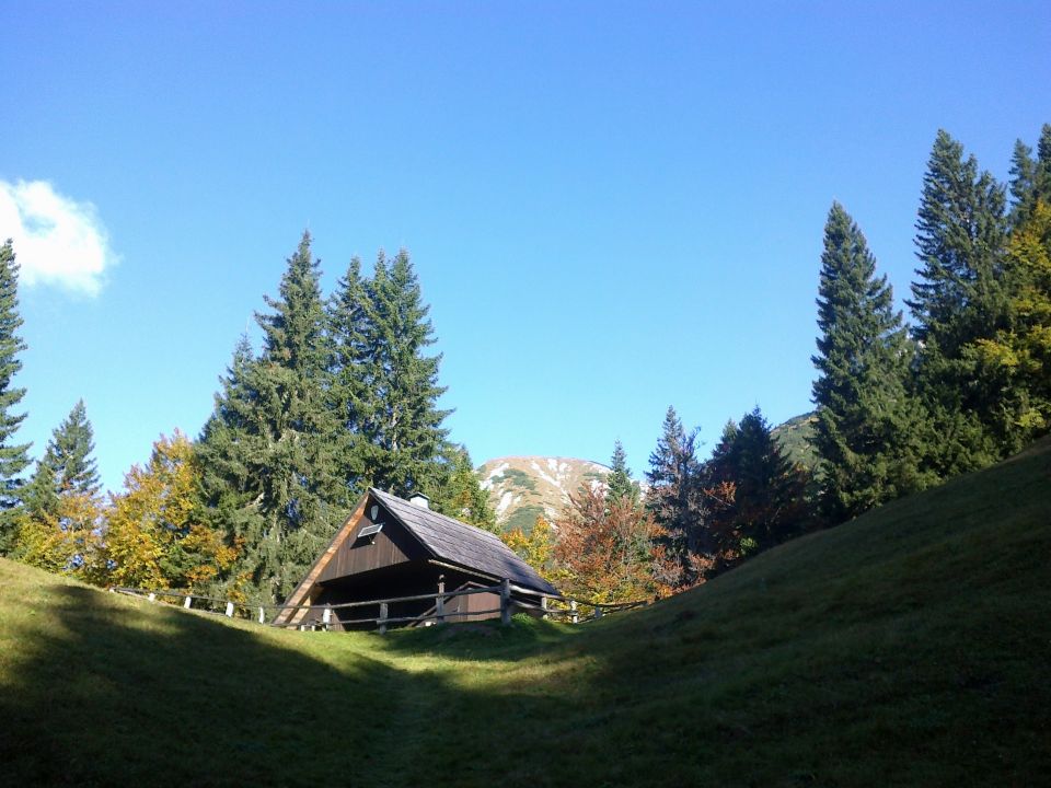 Pri lovski koči na Brvogih (1425m)