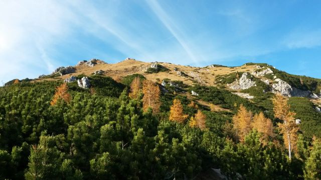 Pot v dolino ter pogled nazaj proti vrhu Viševnika