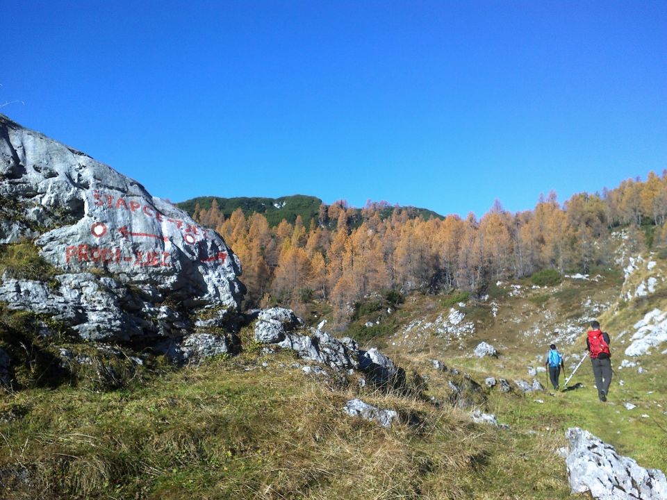 Na Planini Ovčarija se usmerimo za Štapce