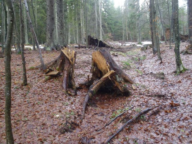 20161120 Boč, Trije Kralji-Osankarica - foto