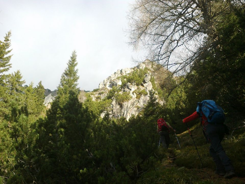 Pot proti Knipsovemu sedlu