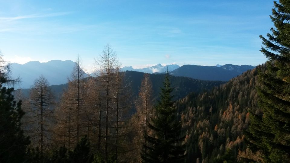 Razgled s poti na Raduho, V. Zelenico, Ojstrico, Planjavo in Olševo (od leve proti desni)