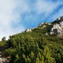 Pot proti Knipsovemu sedlu