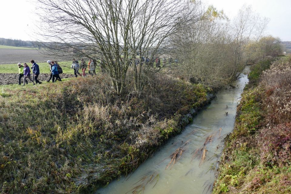 20161113 Martinov pohod Domanjševci - foto povečava