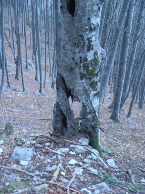 Ne bo več dolgo.