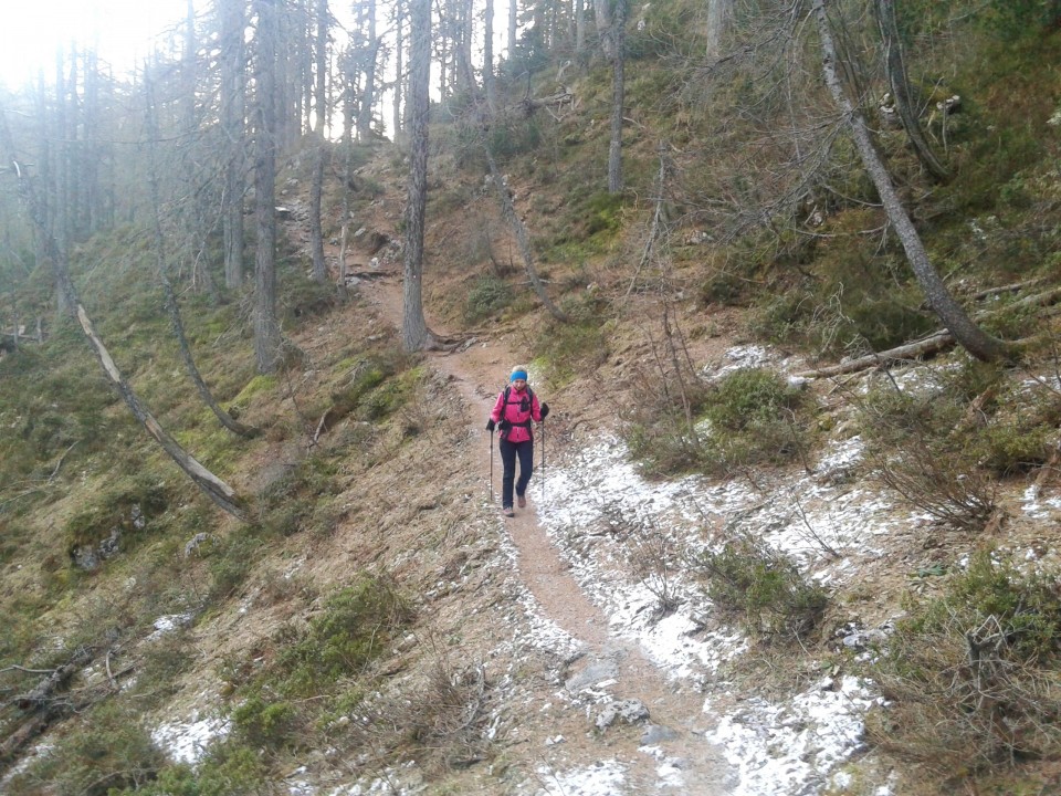 Nadaljnja pot